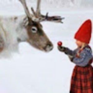 Meet your Posher, Sherrie